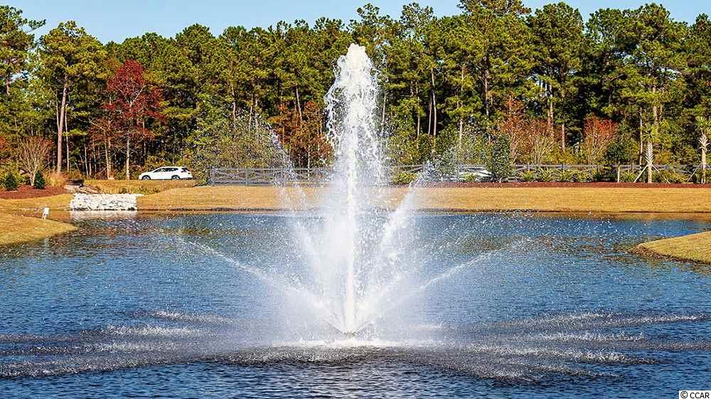 7004 Rivers Bridge Myrtle Beach, SC 29579 - Photo 27 of 40 Gallery Image 27