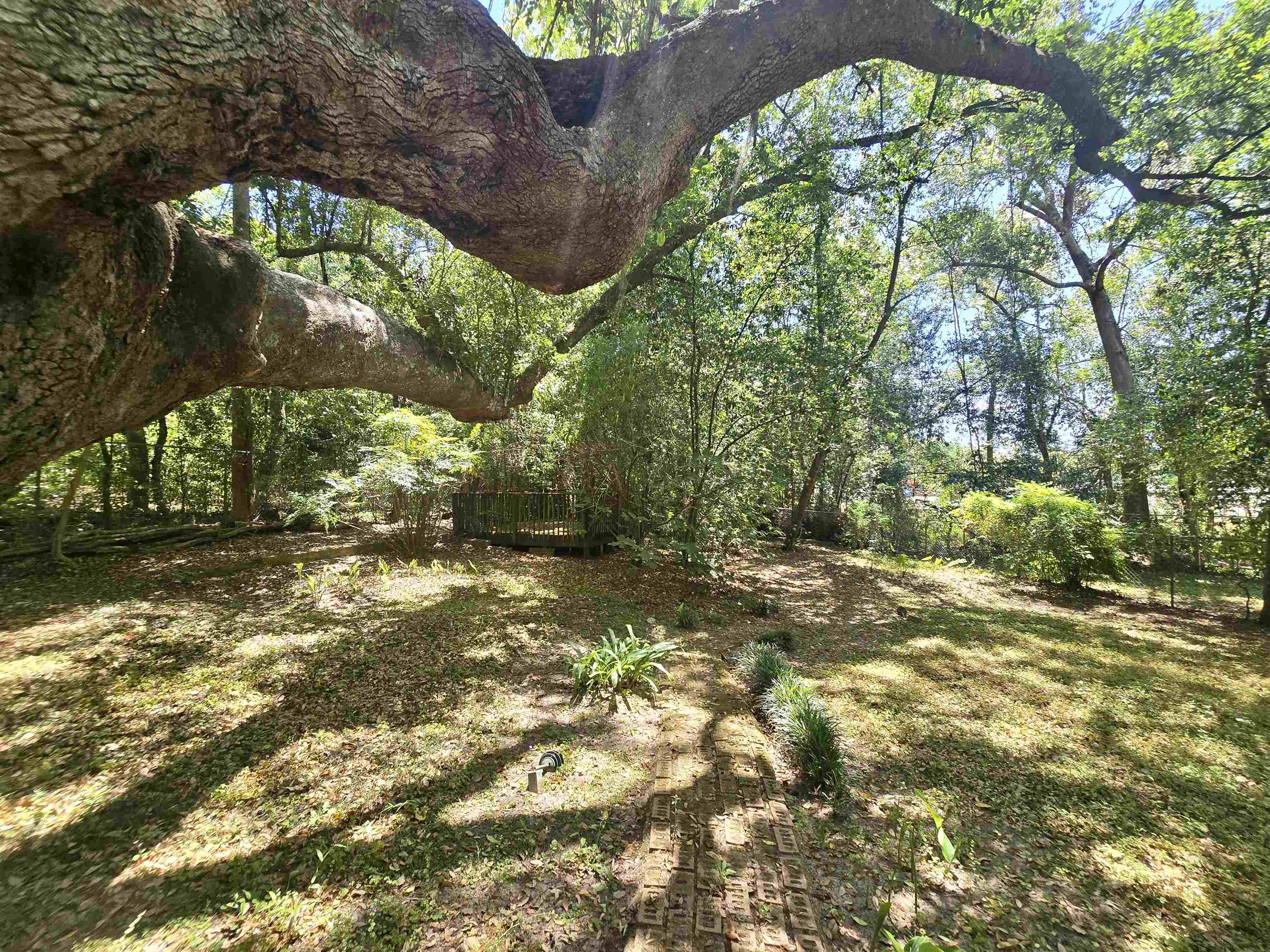727 Miccosukee Road Tallahassee, FL 32308 - Photo 46 of 68