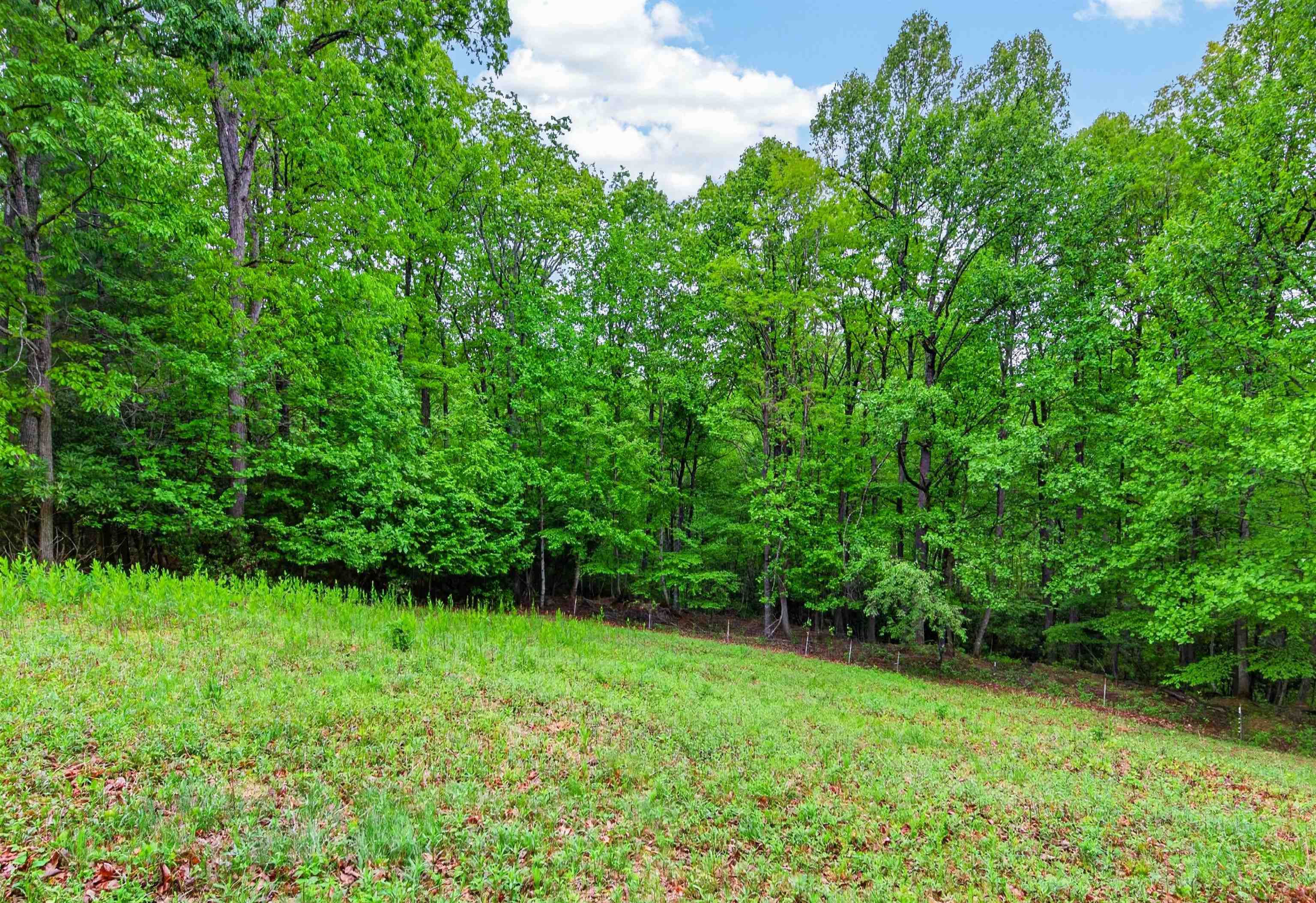 899 Fairview Church Road Southwest Floyd, VA 24091 - Photo 61 of 69 Gallery Image 61