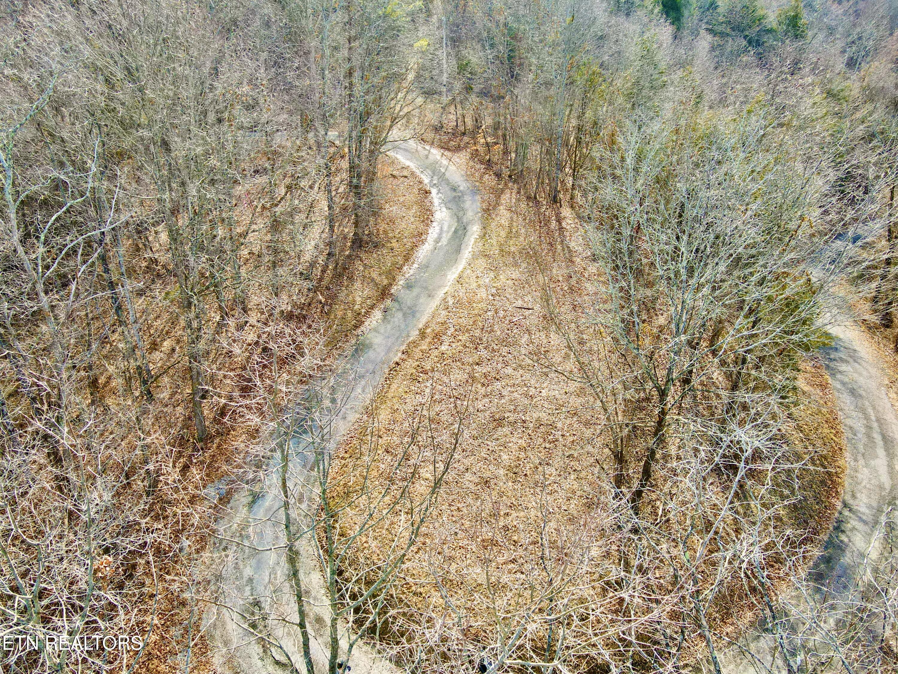 Tbd Rufus Coffey Lane Thorn Hill, TN 37881 - Photo 5 of 10 dji_fly_20250214_105218_260_173954834901