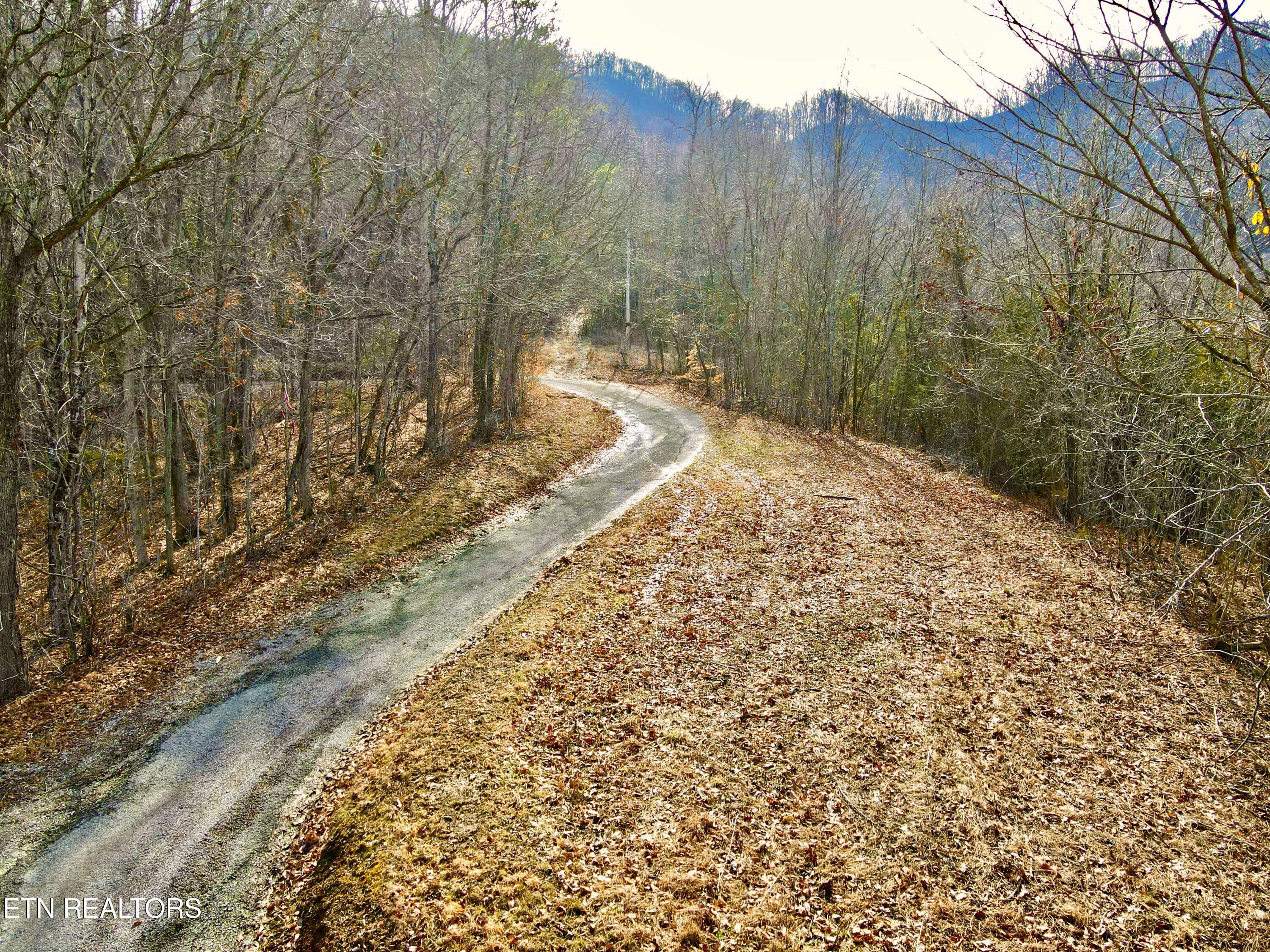 Tbd Rufus Coffey Lane Thorn Hill, TN 37881 - Photo 6 of 10 dji_fly_20250214_105248_261_173954837867