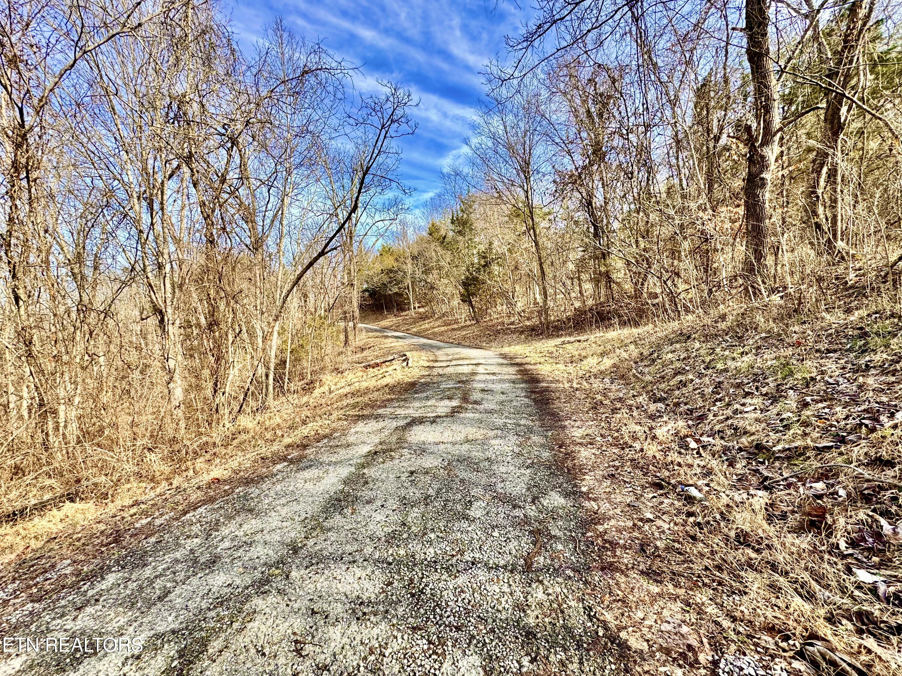 Tbd Rufus Coffey Lane Thorn Hill, TN 37881 - Photo 7 of 10 IMG_2096