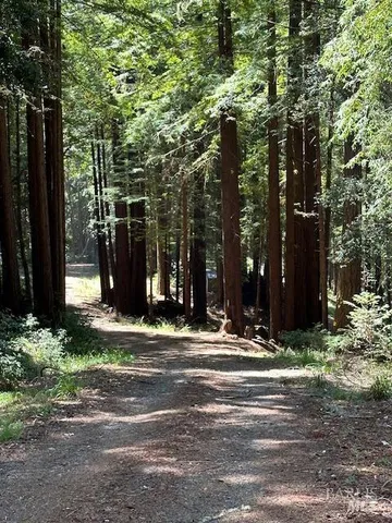 a view of street light pole on a street