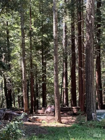 a view of outdoor space with trees