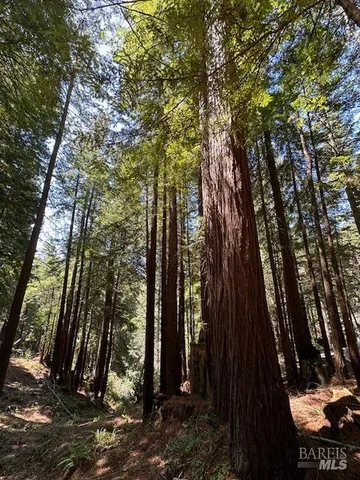 a view of outdoor space and yard