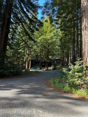 a view of street along with trees