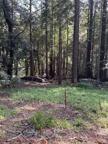 a view of outdoor space with green space