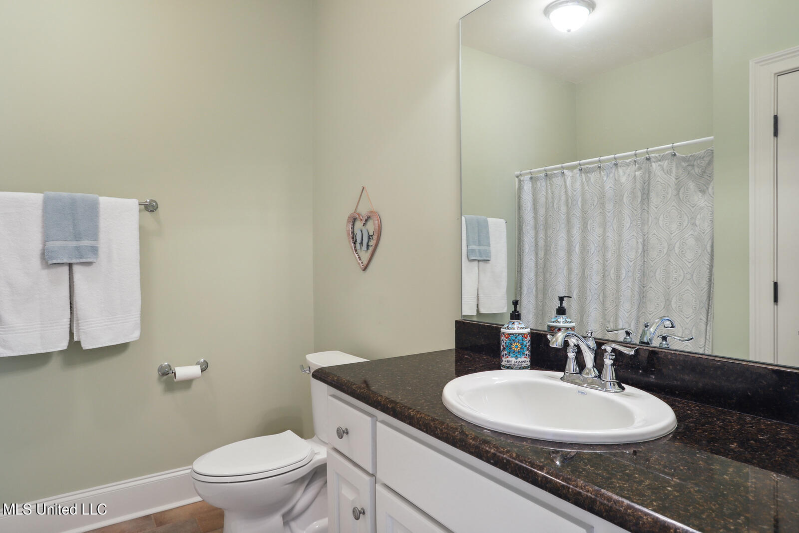 170 Richardson Road Ridgeland, MS 39157 - Photo 23 of 29 Bathroom 4
