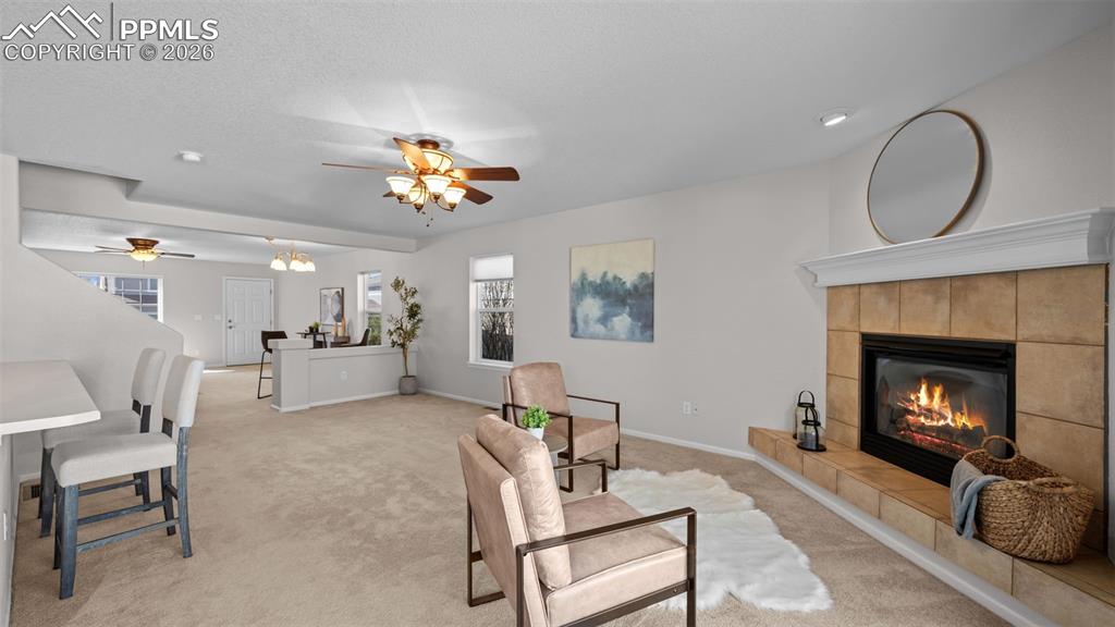 7948 Firecracker Trail Fountain, CO 80817 - Photo 12 of 48