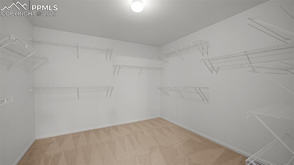 7948 Firecracker Trail Fountain, CO 80817 - Photo 23 of 48