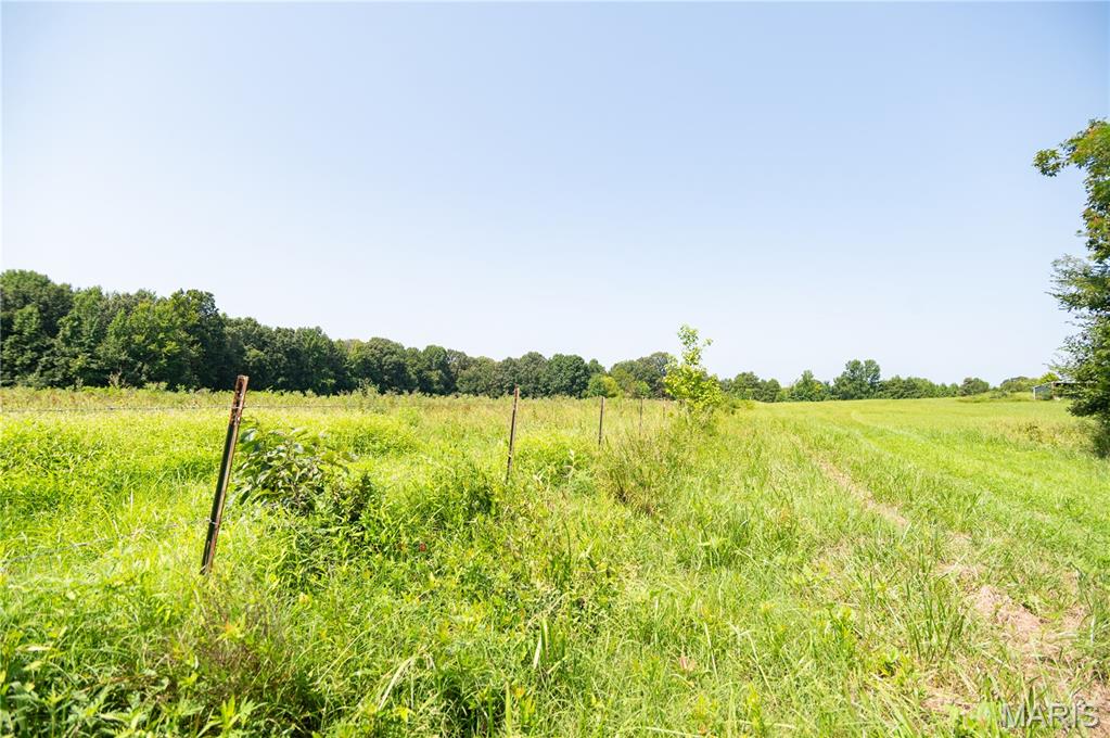 1280 Ripley Route North Doniphan, MO 63935 - Photo 59 of 67