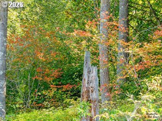 0 Mt Pleasant Road Washougal, WA 98671 - Photo 15 of 17