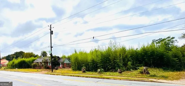 a view of a swimming pool with a lawn chairs and plants