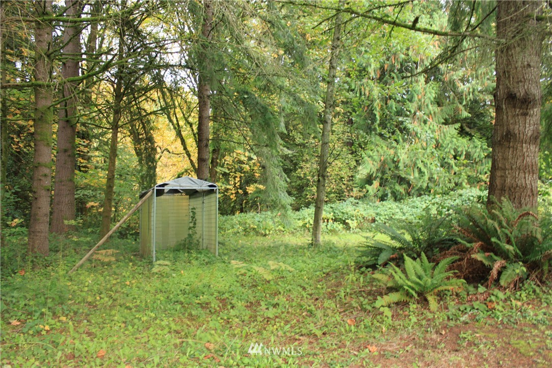 660 Bond Road Castle Rock, WA 98611 - Photo 5 of 22