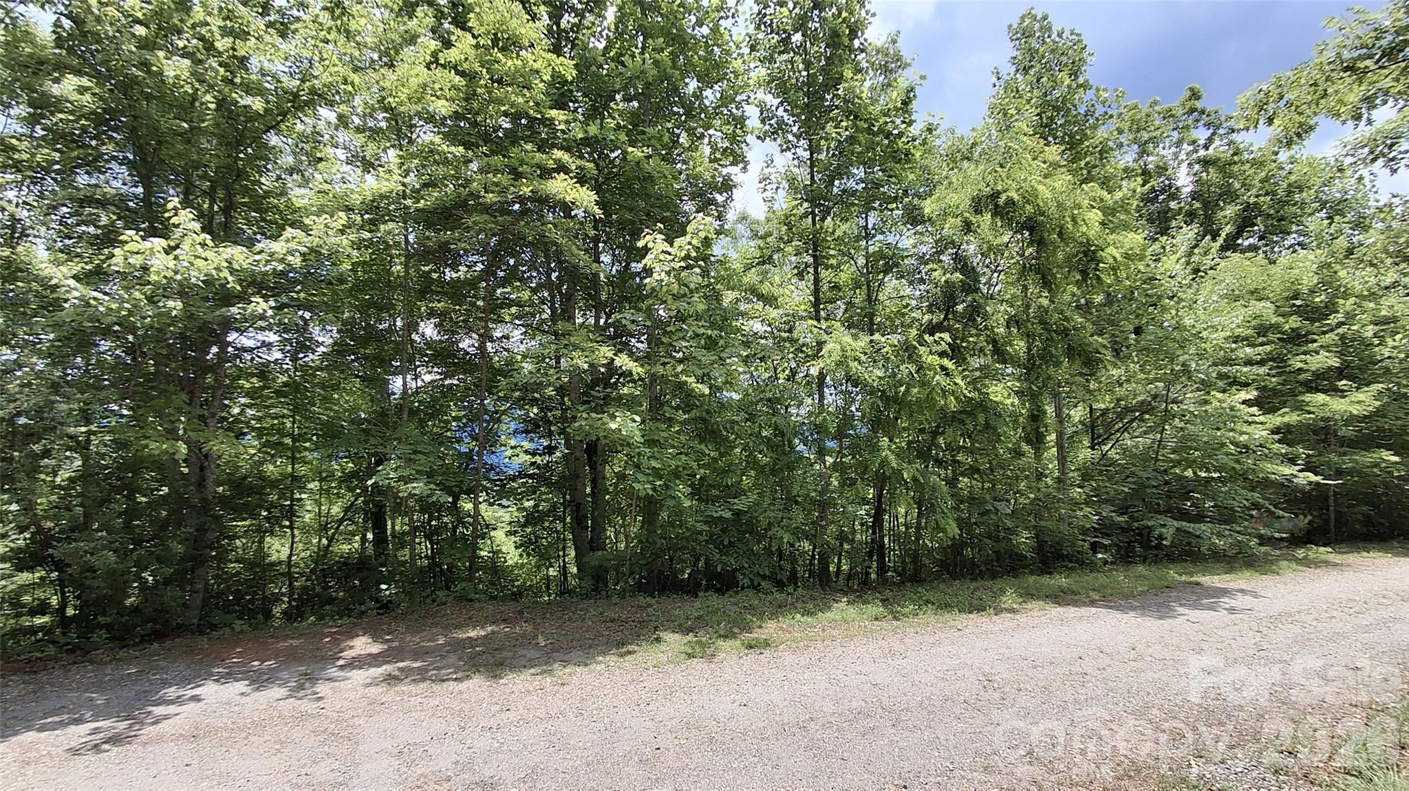 Lot 29 Signal Ridge, Unit 29 Sylva, NC 28779 - Photo 5 of 12
