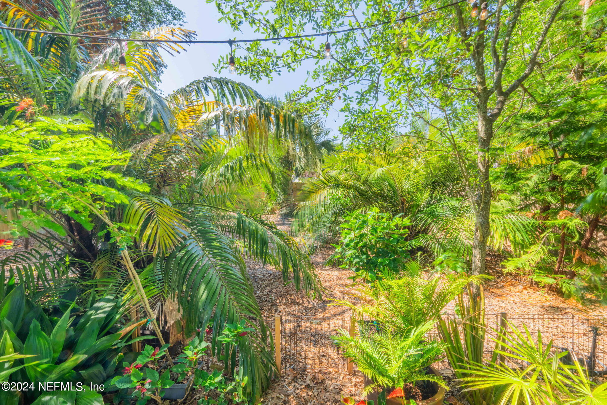 21 B Casanova Road St. Augustine, FL 32080 - Photo 42 of 57 Sideyard