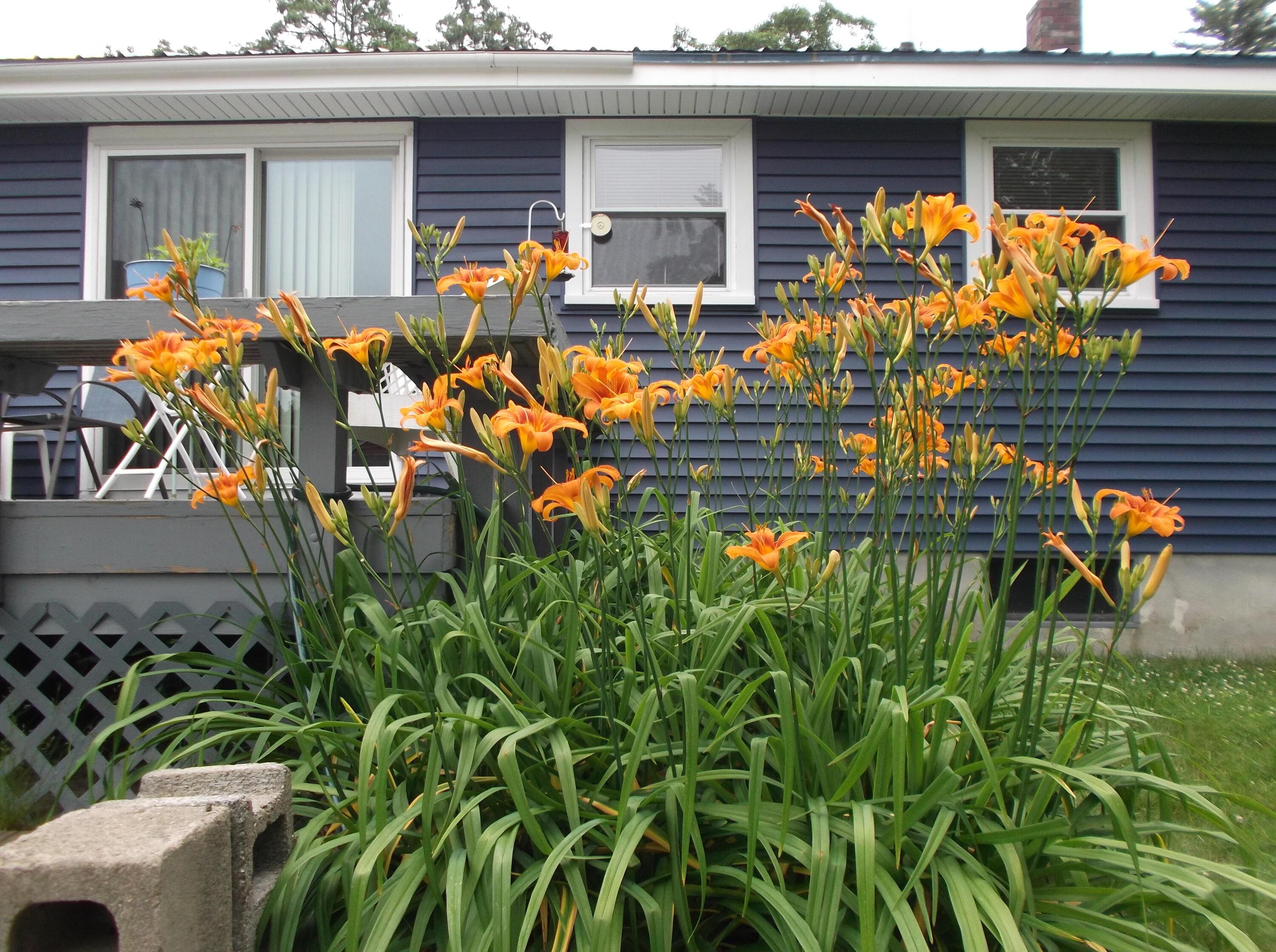 182 Payne Road Scarborough, ME 04074 - Photo 33 of 36 DSCF5199