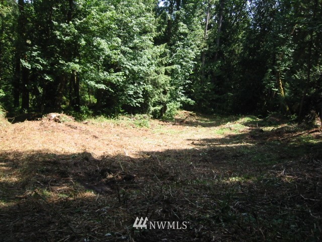 0 Phillips Road Southeast Port Orchard, WA 98366 - Photo 2 of 5 Gallery Image 2