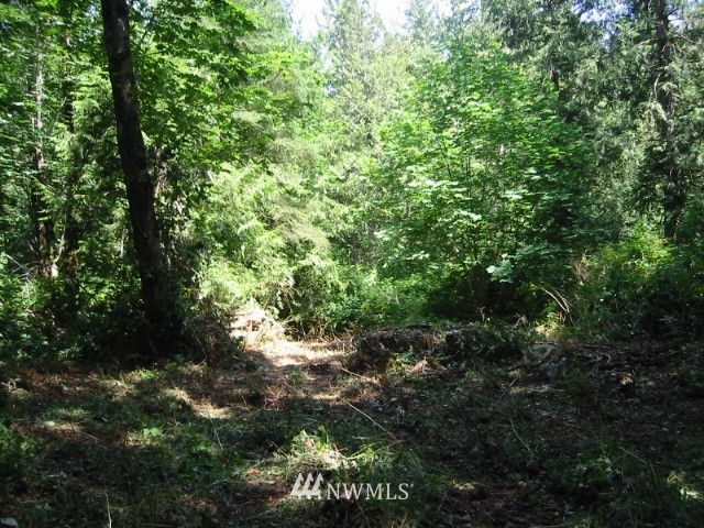 0 Phillips Road Southeast Port Orchard, WA 98366 - Photo 3 of 5 Gallery Image 3
