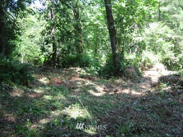 0 Phillips Road Southeast Port Orchard, WA 98366 - Photo 5 of 5 Gallery Image 5