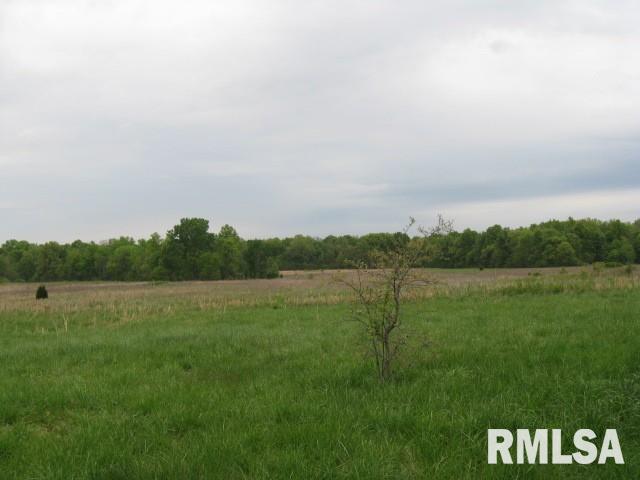 0 McMeen Road Alma, IL 62807 - Photo 2 of 3