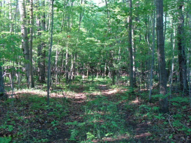 2800 White Feather Road Bentley, MI 48613 - Photo 3 of 29 DSC03314