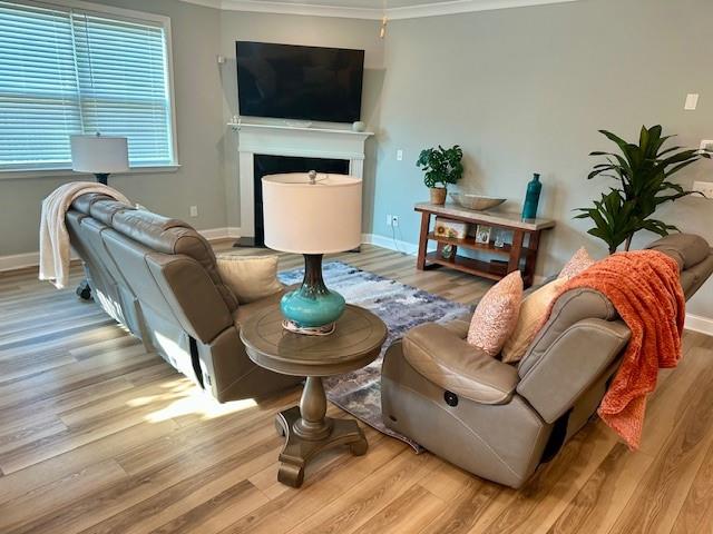 513 Forest Lane Canton, GA 30114 - Photo 16 of 78 a living room with furniture a fireplace and a flat screen tv