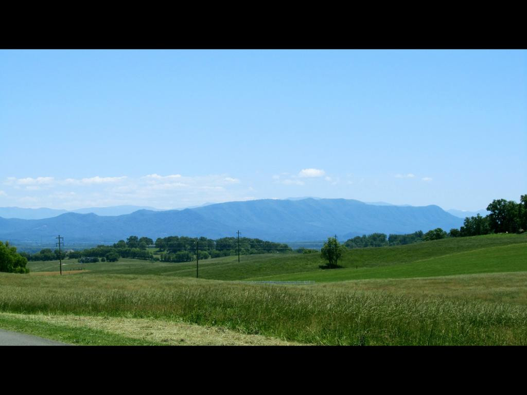 0 Carmichael Road, Unit 13 White Pine, TN 37890 - Photo 2 of 5 Photo 2