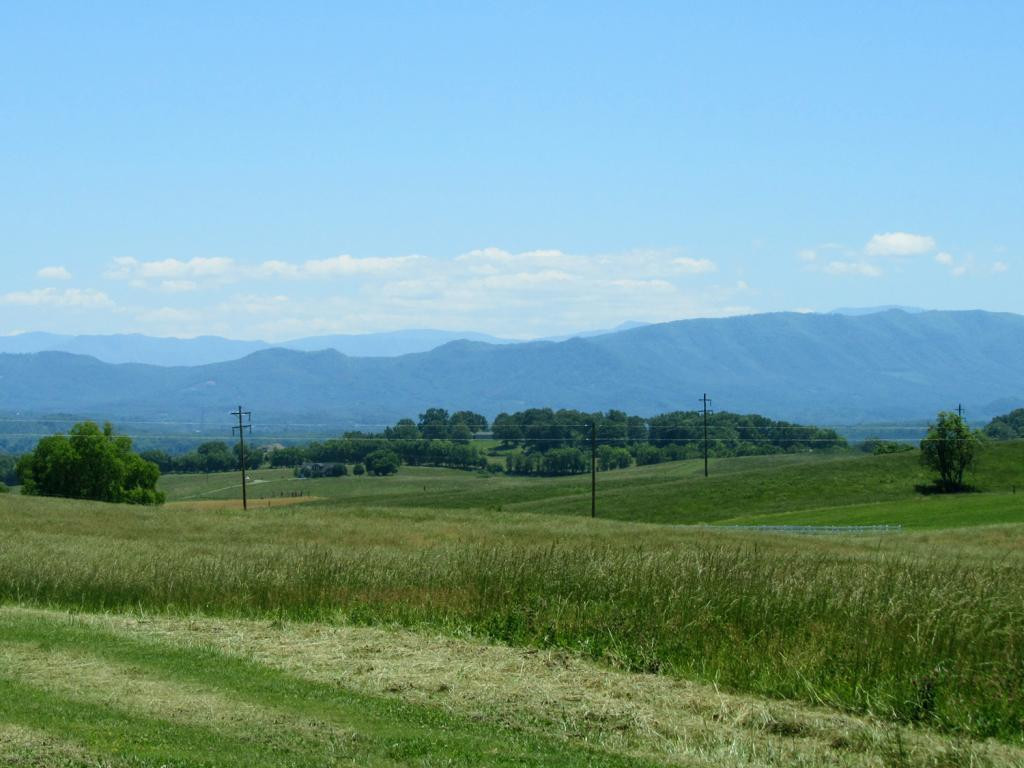 0 Carmichael Road, Unit 13 White Pine, TN 37890 - Photo 3 of 5 Photo 3