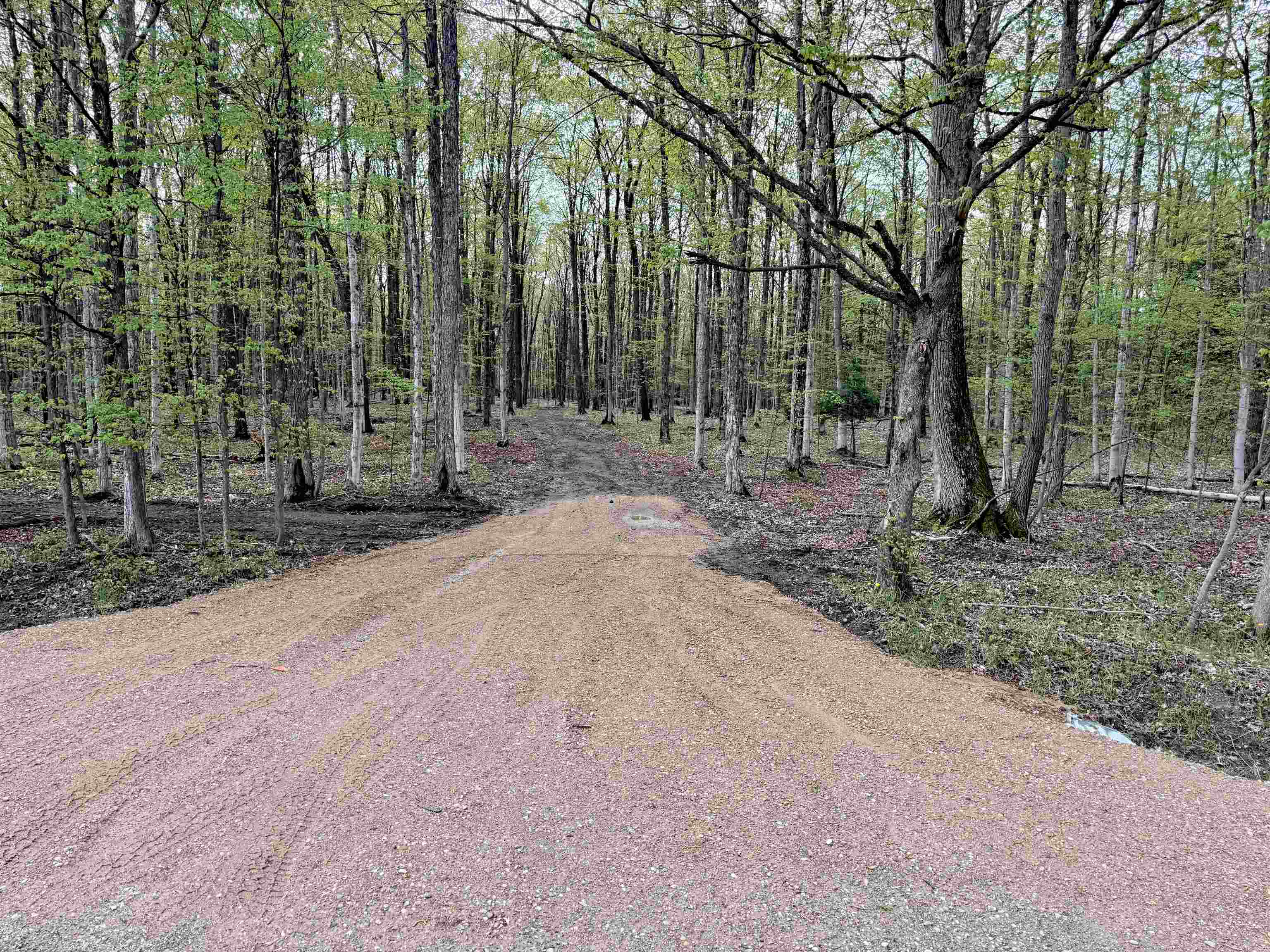 6639 Fall Road Grawn, MI 49637 - Photo 4 of 24