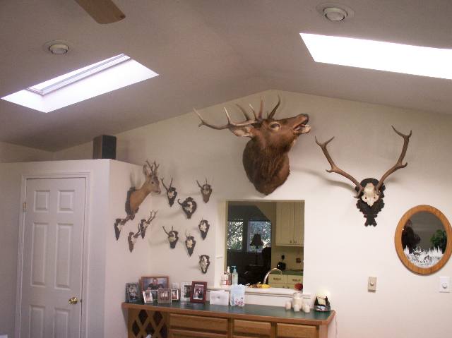 1161 North Willms Road Elk, WA 99009 - Photo 5 of 9