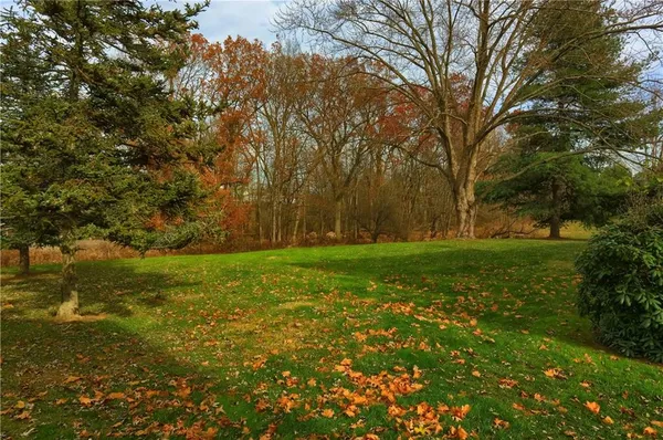 a view of yard with green space