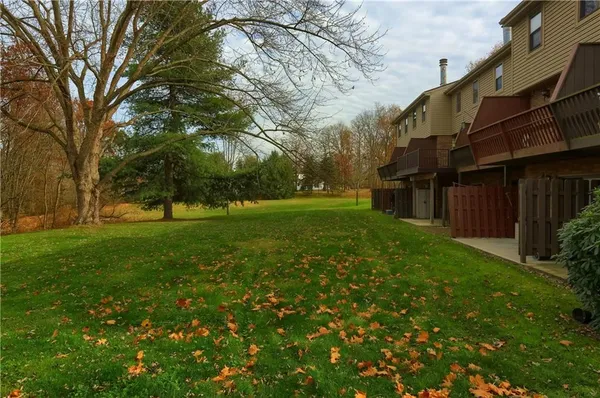 a view of a park with large trees