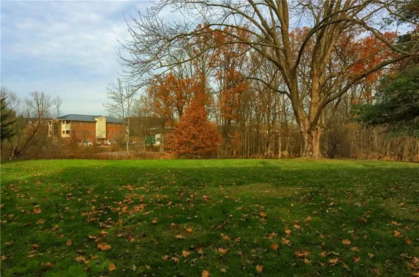a view of yard with green space