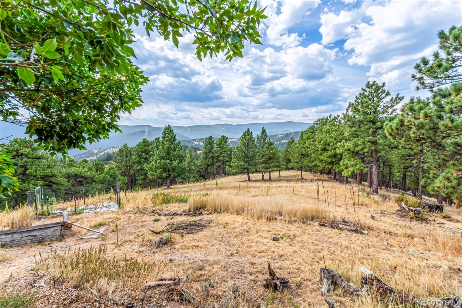 398 Leonards Road Boulder, CO 80302 - Photo 32 of 34 a view of a yard with trees