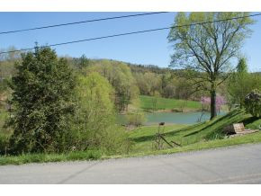 0 Piercetown Road Butler, TN 37640 - Photo 1 of 3 View from property