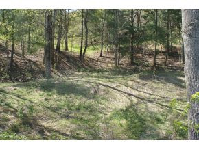 0 Piercetown Road Butler, TN 37640 - Photo 2 of 3 Photo 2