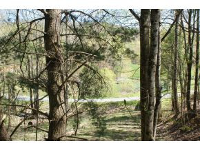 0 Piercetown Road Butler, TN 37640 - Photo 3 of 3 Photo 3