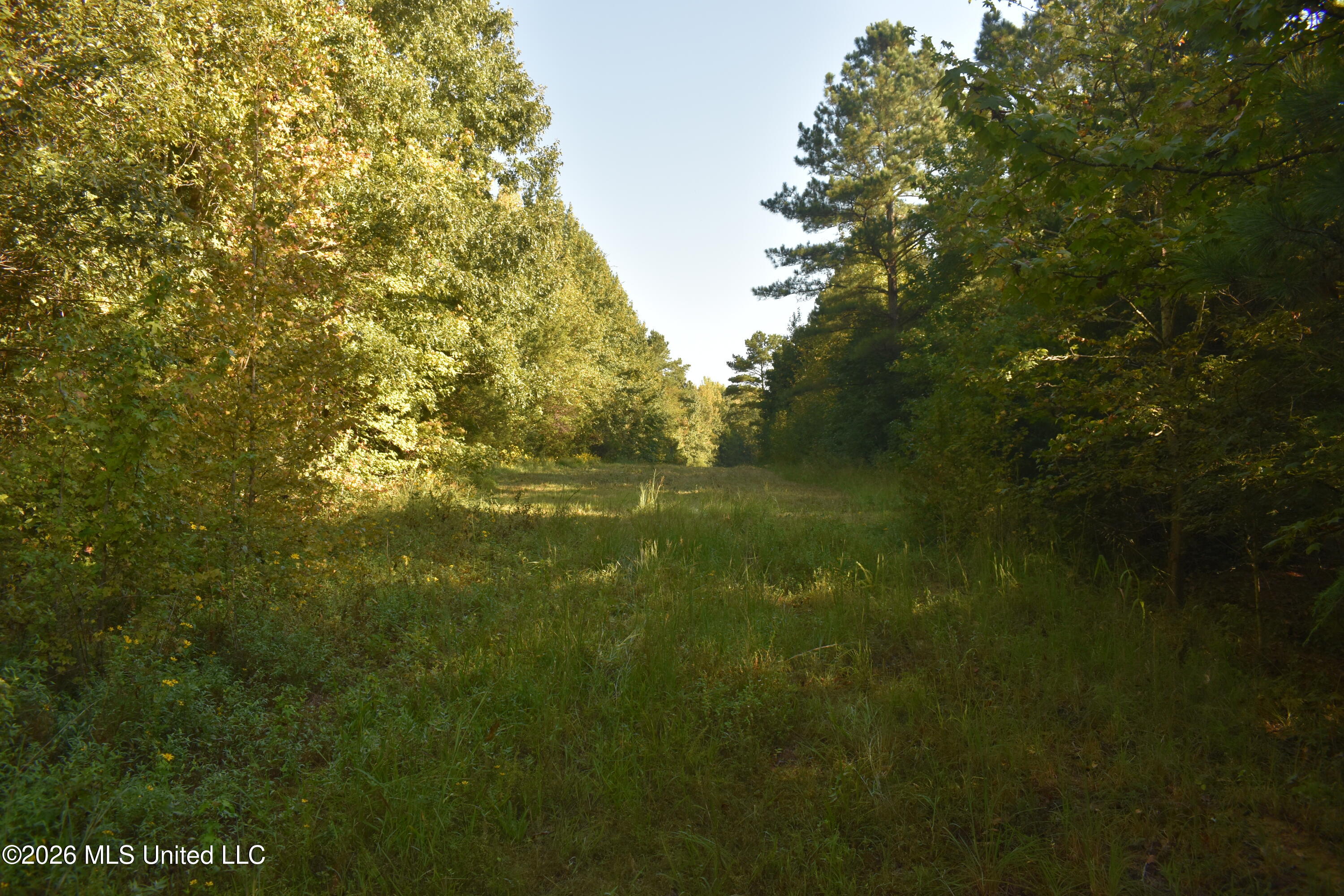 390 Old Panola Road Como, MS 38619 - Photo 23 of 71 DSC_0141
