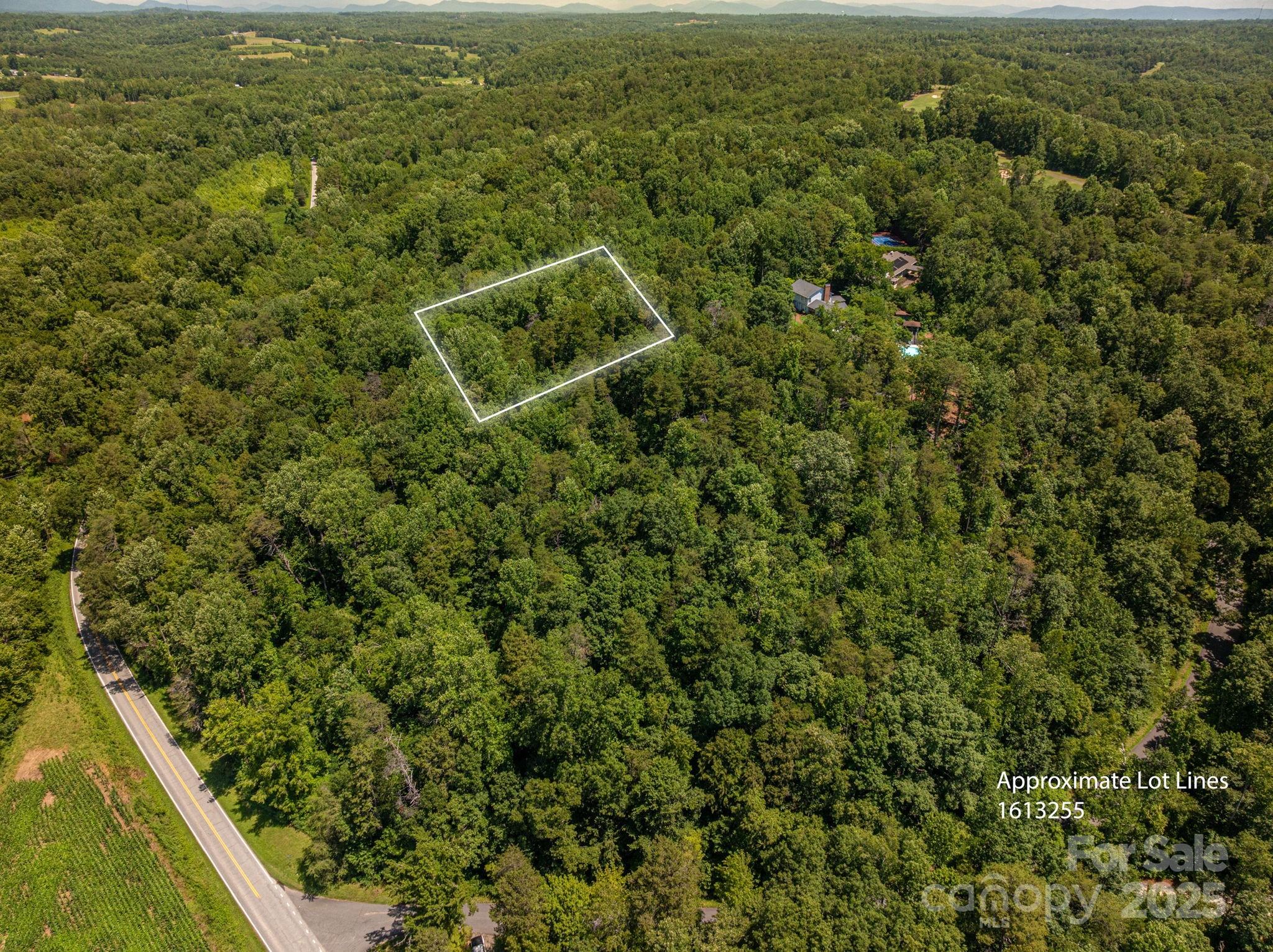 Lot 167 Plantation Drive Rutherfordton, NC 28139 - Photo 2 of 22 an aerial view of residential houses with outdoor space and trees