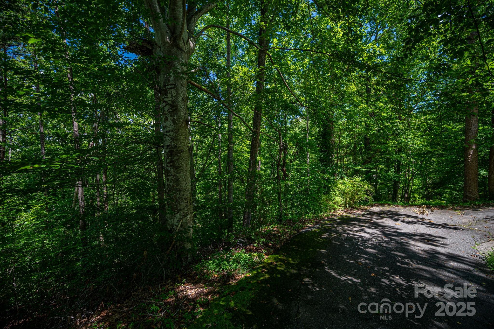 Lot 167 Plantation Drive Rutherfordton, NC 28139 - Photo 22 of 22 a view of a street with a trees