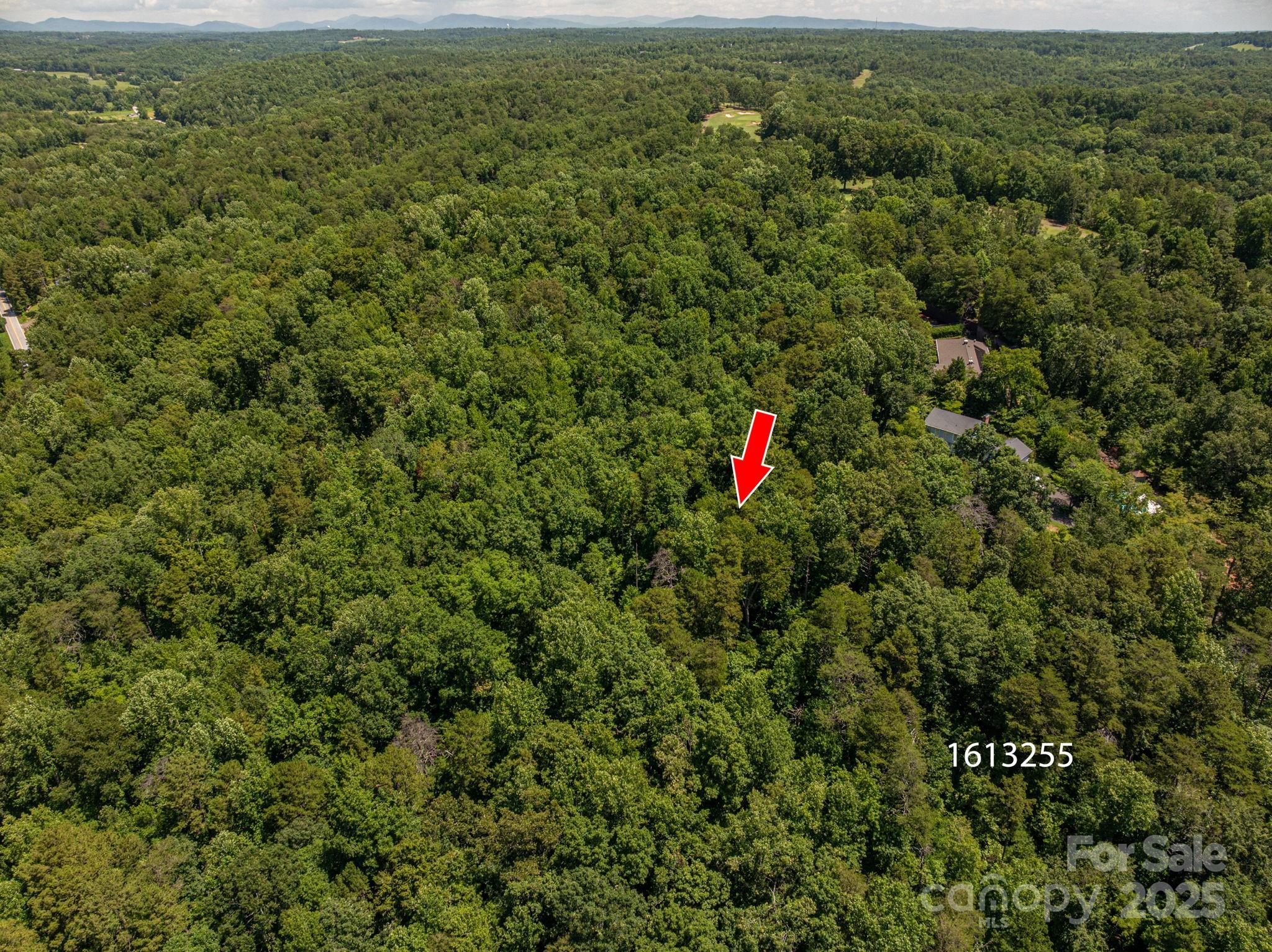 Lot 167 Plantation Drive Rutherfordton, NC 28139 - Photo 3 of 22 an aerial view of residential houses with outdoor space and trees