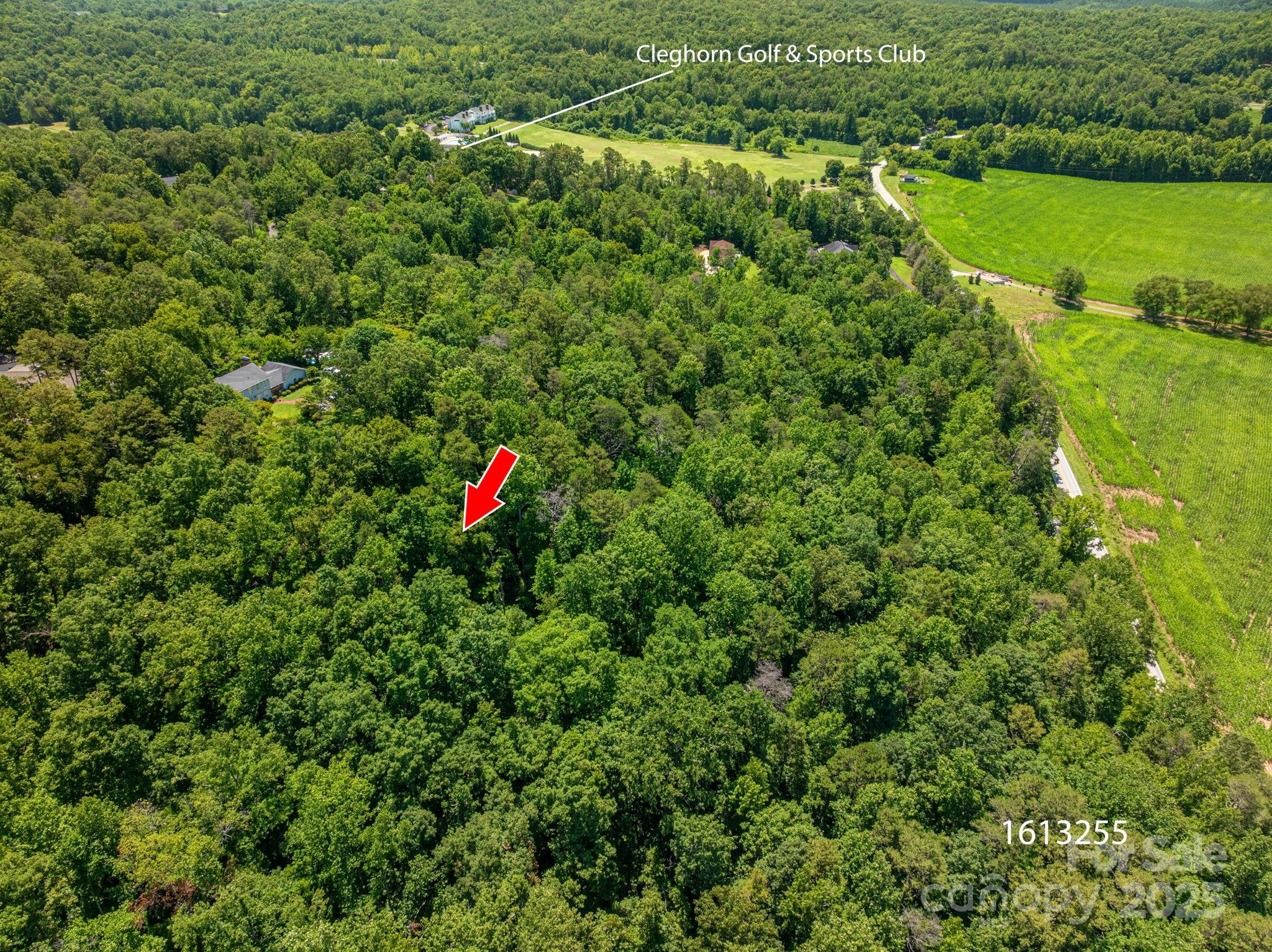 Lot 167 Plantation Drive Rutherfordton, NC 28139 - Photo 4 of 22 an aerial view of residential house with outdoor space and trees around