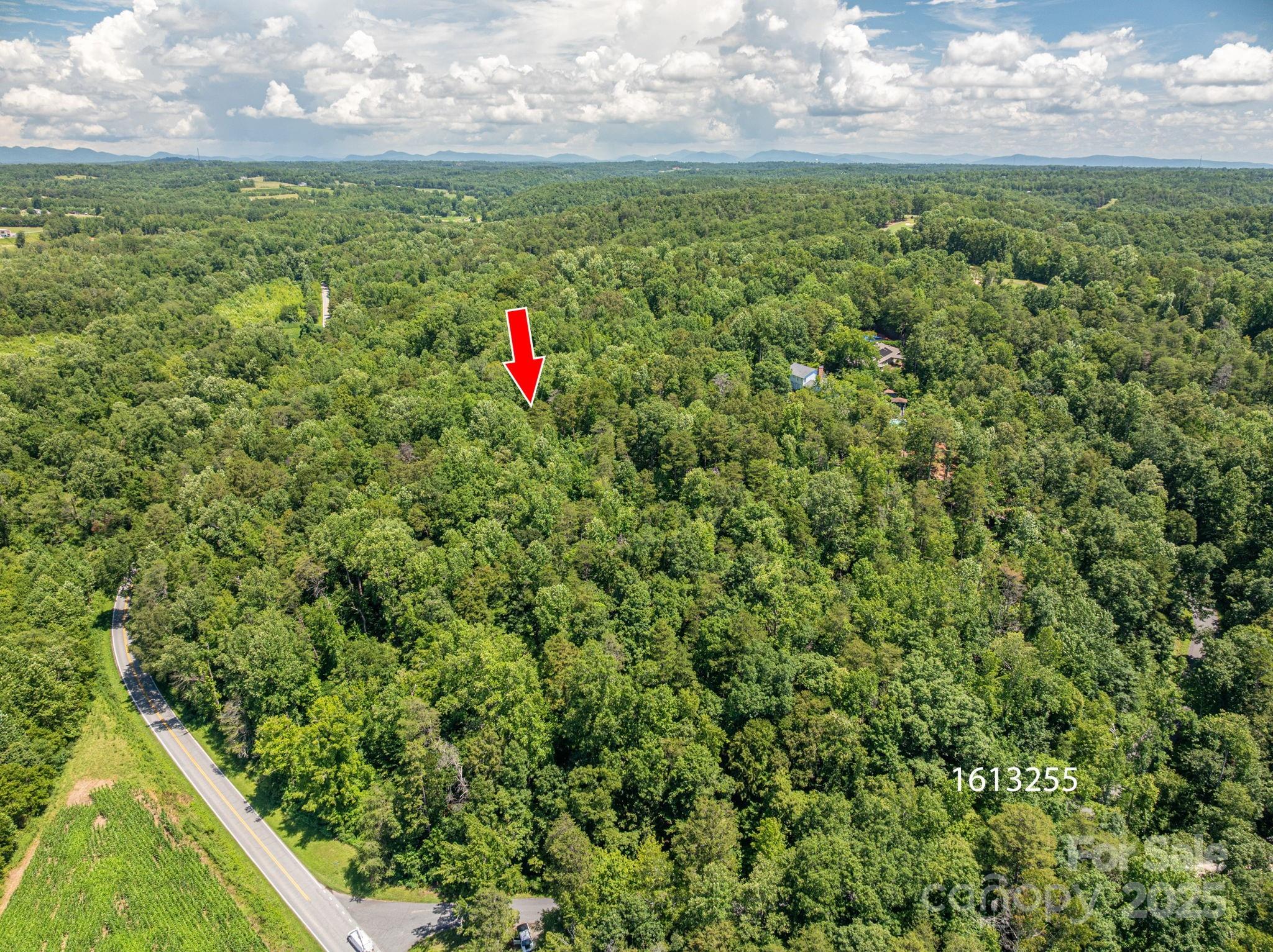 Lot 167 Plantation Drive Rutherfordton, NC 28139 - Photo 5 of 22 a view of a yard with an outdoor seating