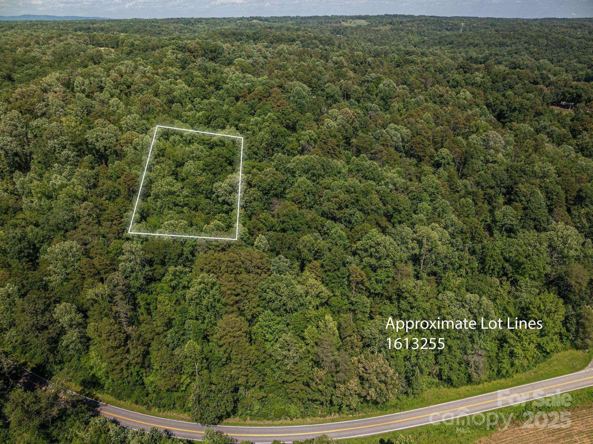 Lot 167 Plantation Drive Rutherfordton, NC 28139 - Photo 7 of 22 a view of a forest from a yard