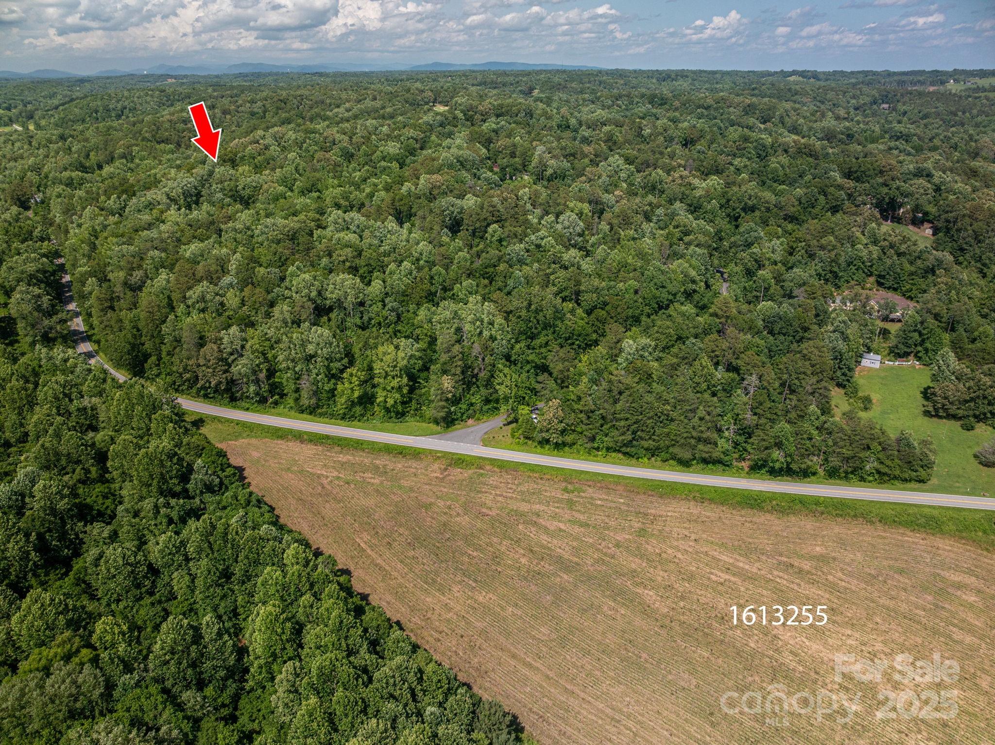 Lot 167 Plantation Drive Rutherfordton, NC 28139 - Photo 8 of 22 a view of a field