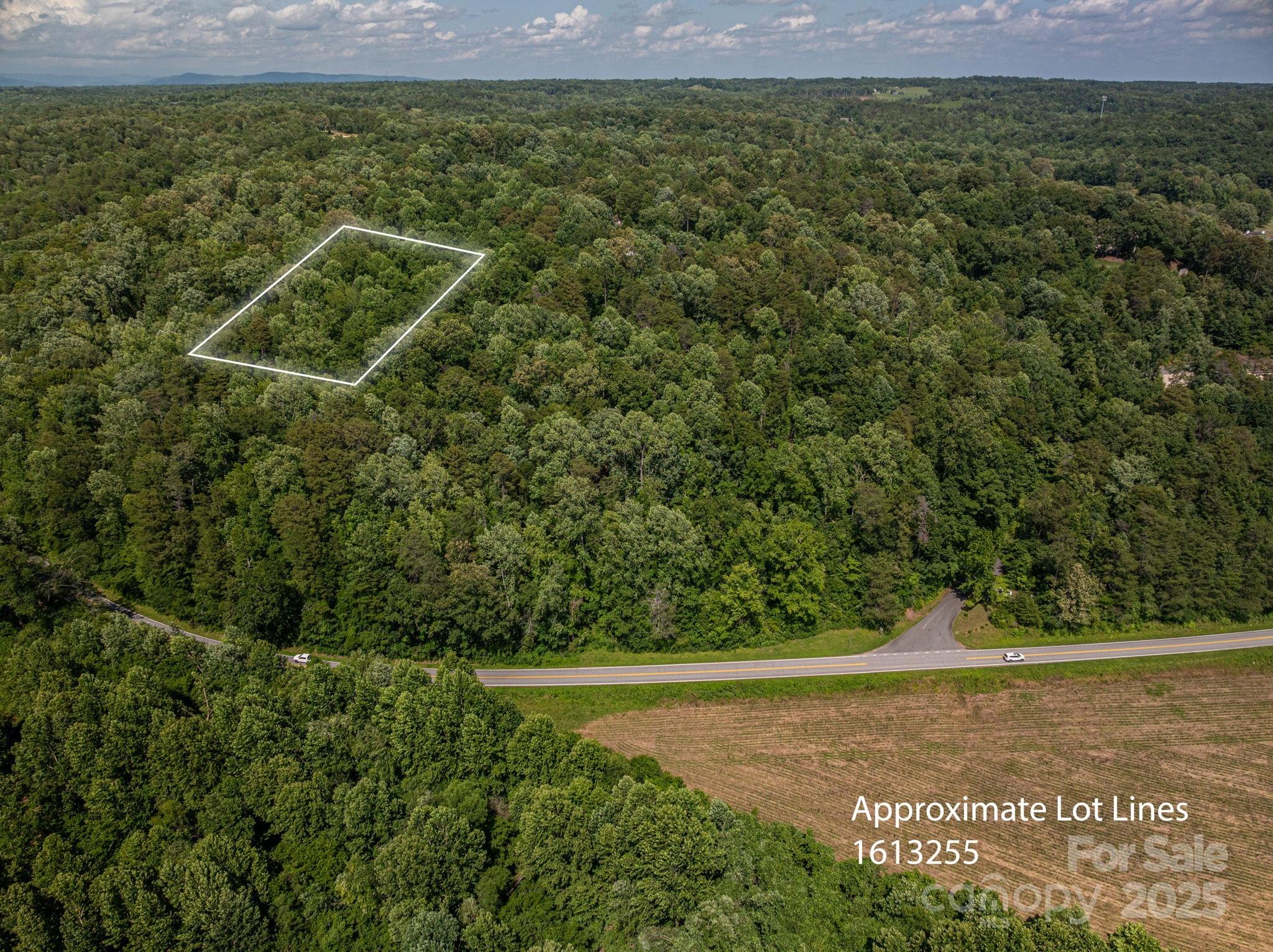 Lot 167 Plantation Drive Rutherfordton, NC 28139 - Photo 9 of 22 a view of a field with plants and large trees