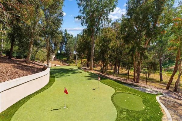 a view of a house with a yard and potted plants