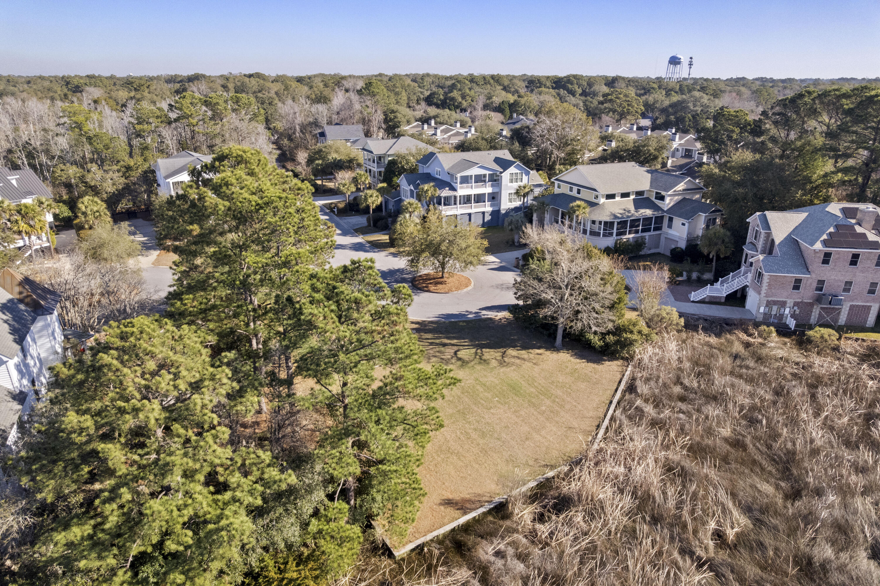 843 Bridge Point Circle Mount Pleasant, SC 29464 - Photo 12 of 13 11