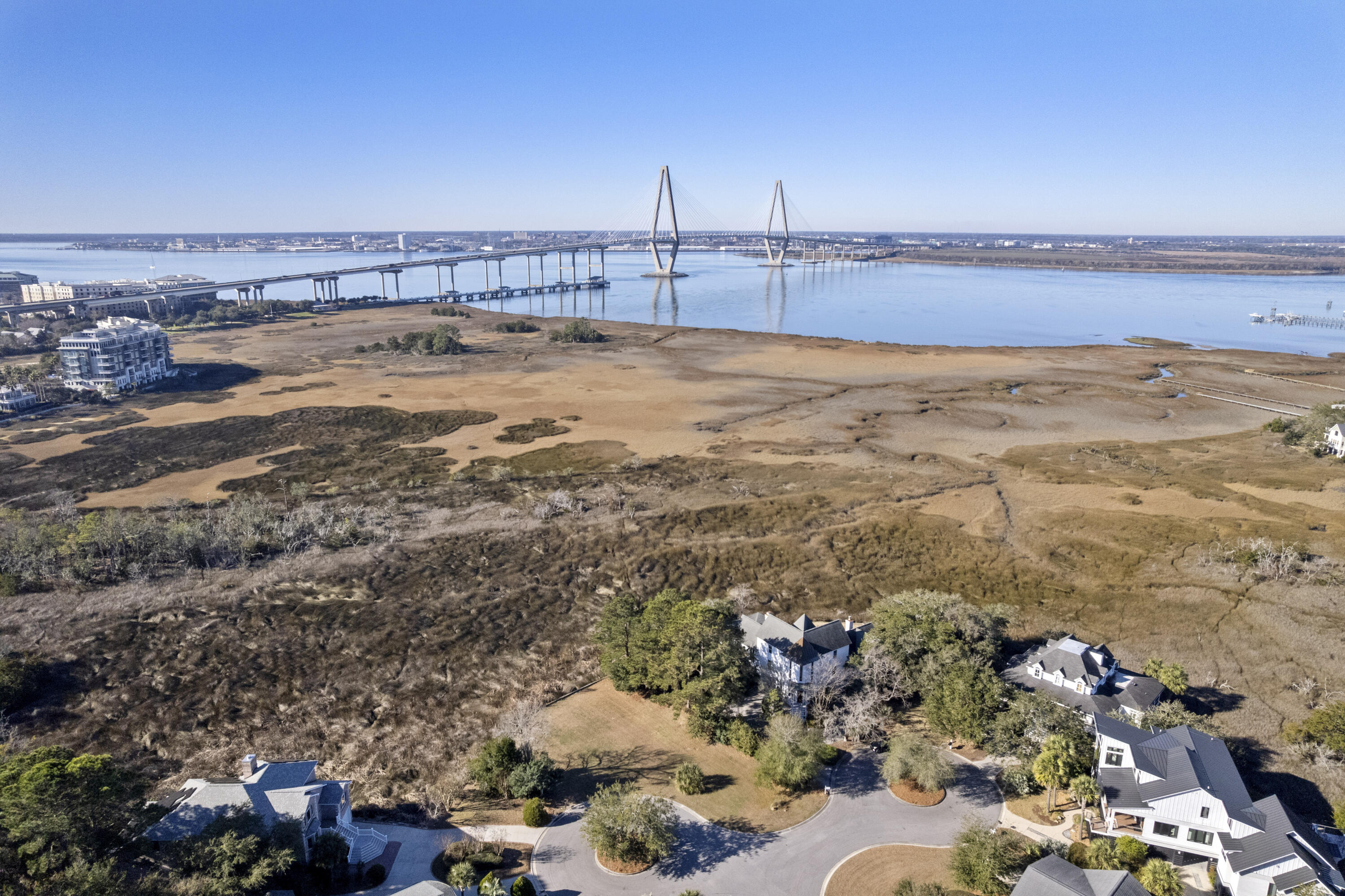 843 Bridge Point Circle Mount Pleasant, SC 29464 - Photo 3 of 13 3 (1)